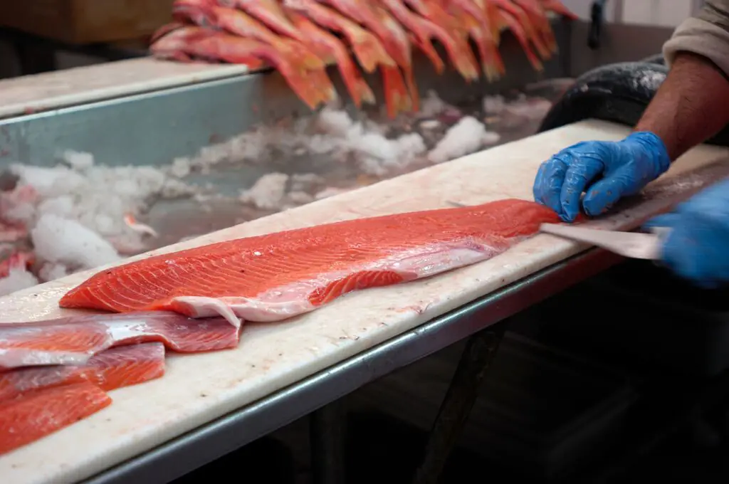A salmon fillet being prepared on a fish factory table