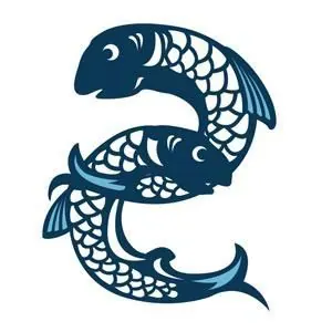 Director, DENNIS CROOKS FISH MERCHANTS